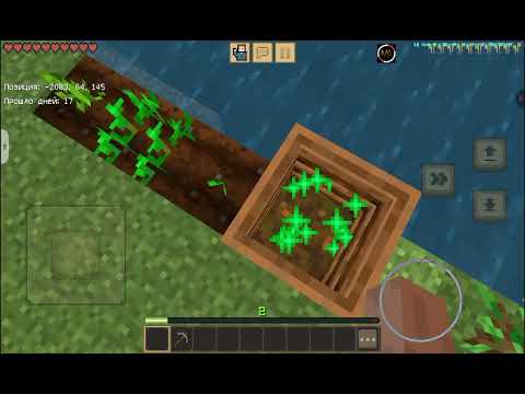 Видео: 20 октября 2025 г.