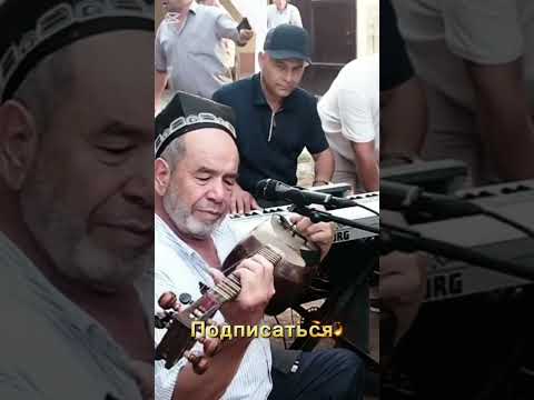 Видео: Ош нахорга классик қӯшиқ жонли ижрода