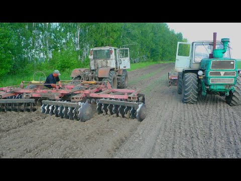 Видео: Поломка дисковой бороны БДТ-7 на запашке рапса тракторами Т-150К.