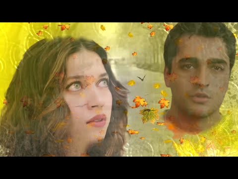 Видео: Ну, здравствуй осень/Сейран💘Ферит