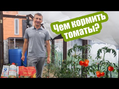 Видео: Самые важные удобрения для томатов в июле! Корневые и внекорневые подкормки томатов