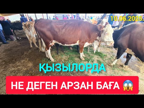 Видео: СҰМДЫҚ НЕ ДЕГЕН АРЗАН БАҒА, БҰЗАУЛЫ СИЫР ҚАШАР БАСПАҚ БҰҚА.