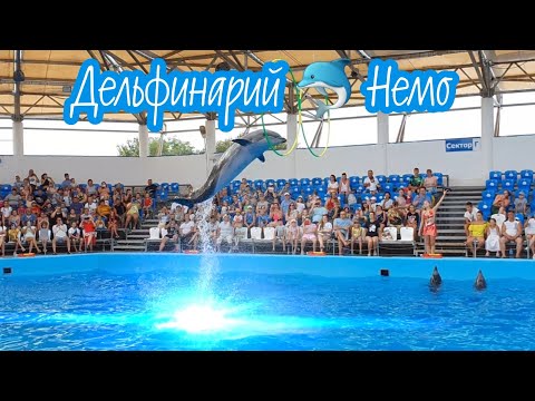 Видео: Дельфинарий 🐬 Немо