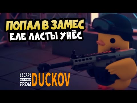 Видео: Escape from Duckov - 4 БОССА ЗА РАЗ #4