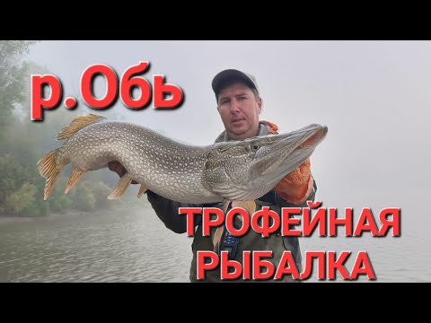 Видео: Летние трофеи. Рыбалка на р.Обь в коряжнике на джиг. ОЛТА МАГНУМ.