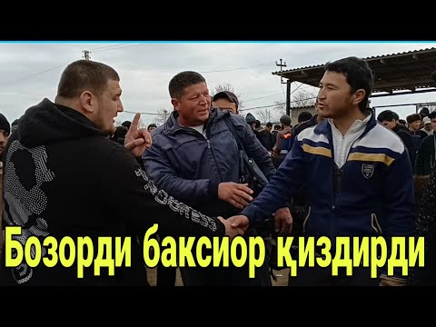 Видео: Қашқадарё нишон бозордан буқалар