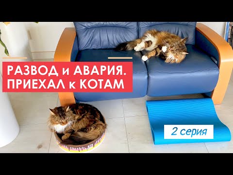 Видео: Развод и авария, 2 серия. Приехал на озеро, мелкие проблемы