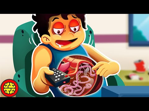 Видео: Почему заражение паразитами делает человека ленивым