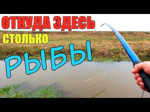 Видео: Вот это попёрло!!! Я такого не ожидал!!! Рыбалка на экраны.