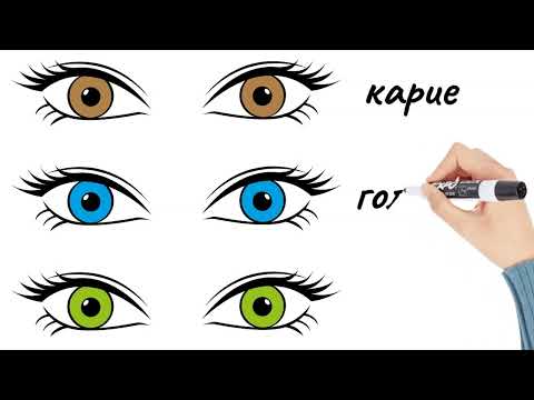 Видео: Внешность. Aussehen. Appearance. Learn Russian. Russisch lernen.