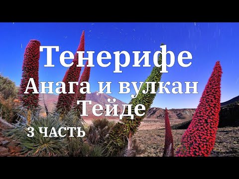 Видео: Тенерифе. Анага и вулкан Тейде.3 часть.