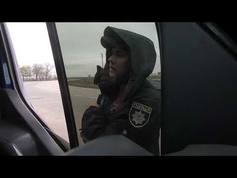 Видео: Зачем пишут законы?