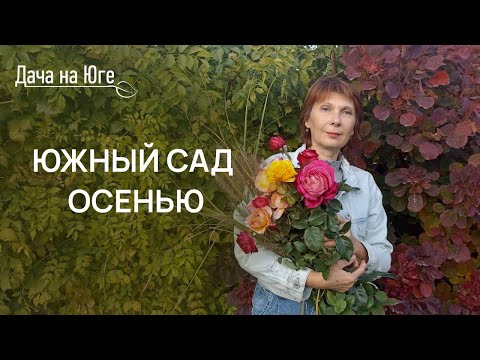 Видео: Дача на Юге- Южный сад осенью