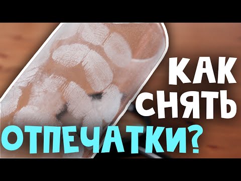 Видео: Как снять отпечатки пальцев? Исследовательский проект.