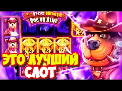 Видео: ЭТО ЛЕГЕНДАРНАЯ СЕСИЯ В СЛОТЕ The Dog House  Dog or Alive / ТАКОГО ТЫ ЕЩЁ НЕ ВИДЕЛ!!!