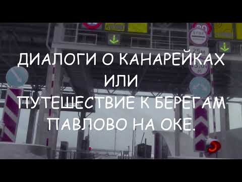 Видео: Диалоги о канарейках или Путешествие к берегам Павлово на Оке.