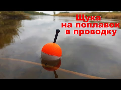 Видео: ХИЩНЫЙ ПОПЛАВОК НА РЕКЕ. Ловля щуки на поплавок осенью. Щука на поплавок.