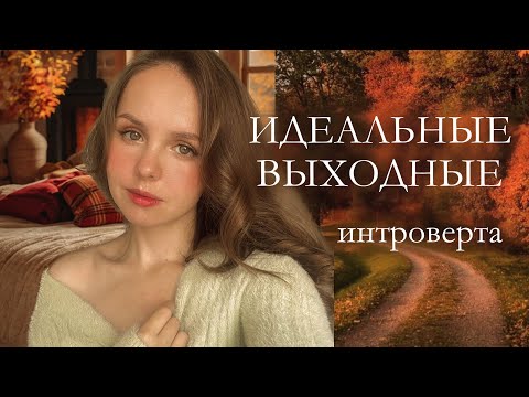 Видео: Уютный осенний день | лес, тихий влог, чайный разговор 🍁🕯️☕️