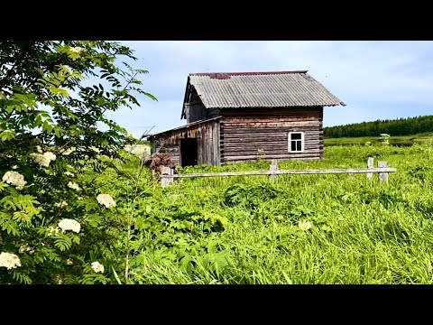Видео: Восстанавливаем заброшенную избу в тайге. Наловил монстров. Часть 1.