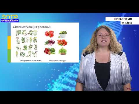Видео: 11-класс |  Биология |   Понятие об эволюции.  Возникновение и развитие  жизни на Земле