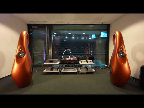 Видео: Варшавское аудио-видео шоу 2025 / Planeta Dźwięku / Vivid Audio, Mola Mola / Giya Cu