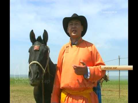 Видео: Унаган хар