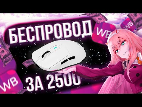 Видео: БЕСПРОВОДНАЯ МЫШЬ с WB до 2500 РУБ | HAVIT MS969WB, это конкурент Attack Shark x3?