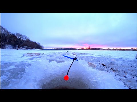 Видео: Рыбалка на Подледный Зимний Фидер . Сильное течение . Поиск рыбы .Тактика ловли . ЛЕЩ ,ЕЛЕЦ,ГУСТЕРА