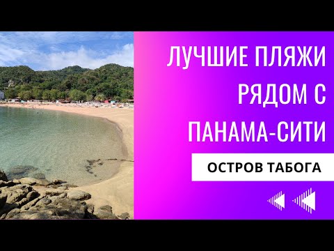 Видео: Где найти чистый пляж в Панаме? Остров Табога – мой опыт
