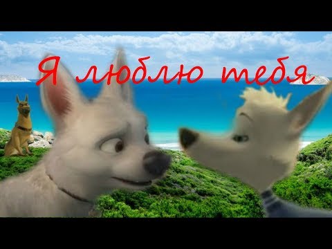 Видео: Белка, Вольт и Казбек: Я люблю тебя