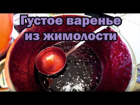 Видео: Варенье из горькой жимолости