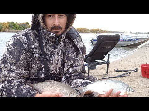 Видео: ВСЕ О ЛОВЛЕ РЫБЦА. ТАКТИКА И НЮАНСЫ, ТОНКОСТИ И СПОСОБЫ НАСАДКИ. ОСЕННЯЯ РЫБАЛКА ФИДЕРОМ НА ОСТРОВЕ.