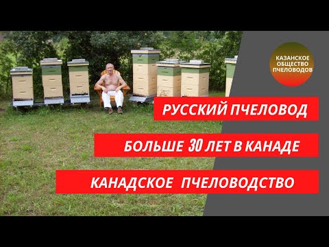 Видео: Канадское пчеловодство. Гибель пчелиных семей в США и Канаде от необдуманных действий человека.