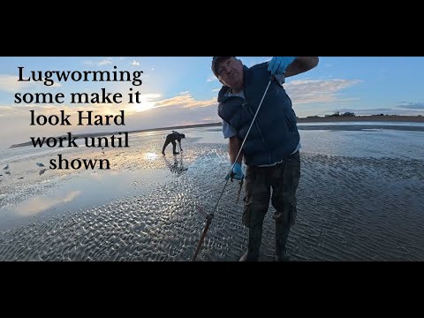 Видео: Несколько простых и удобных советов для успешного использования наживки для ловли гусениц