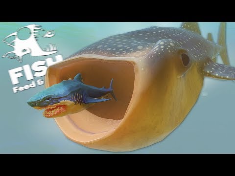 Видео: МЕСТЬ КИТОВОЙ АКУЛЫ! МЕГАЛОДОН В ШОКЕ! | Feed and Grow Fish