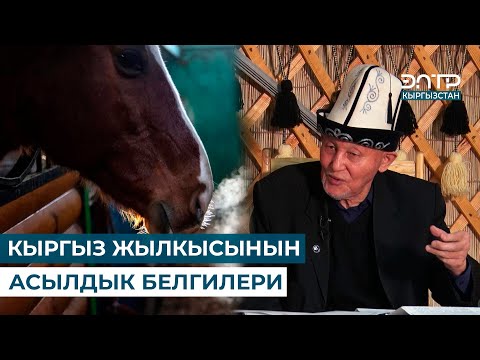 Видео: КЫРГЫЗ ЖЫЛКЫСЫНЫН АСЫЛДЫГЫНА ЖАРАША БӨЛҮНҮШҮ // МУРАС САБАТЫ