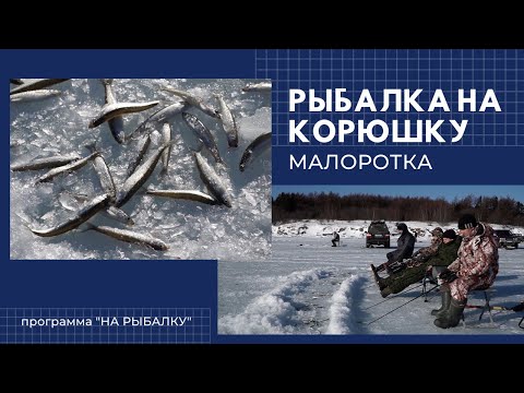 Видео: Рыбалка на корюшку. Часть 1 - Малоротка