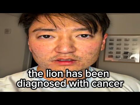 Видео: Лев начинает беспокоиться...