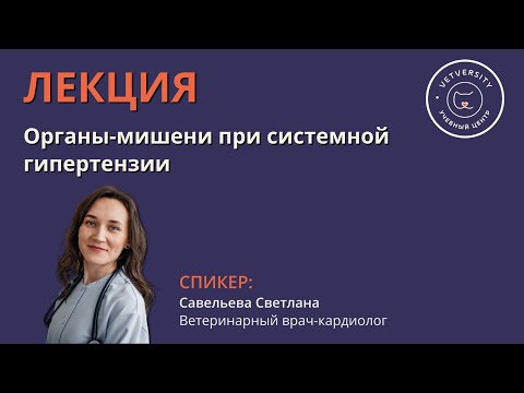 Видео: Органы-мишени при системной гипертензии собак и кошек
