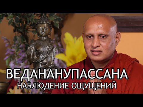Видео: Бханте Ньянасиха. Ведананупассана, наблюдение ощущений / Студия Бодхи