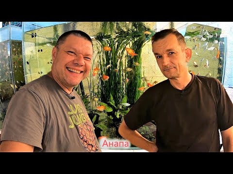 Видео: Мини-разводня в Благе