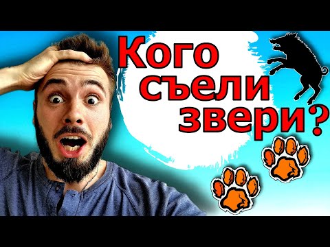Видео: Ночь в диком лесу! АНОМАЛИИ на озере Смердячье.