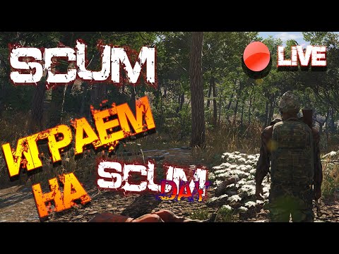 Видео: SCUM СТРИМ | ПОДРОБНОСТИ О РАЗРАБОТКЕ 0.5 - ИГРАЕМ НАSCUM DAY!