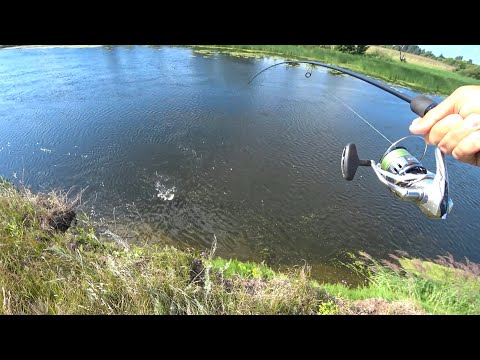 Видео: КАК Я ищу ЩУЧЬИ МЕСТА на НОВОЙ РЕКЕ в другом регионе. Рыбалка на спиннинг 2023