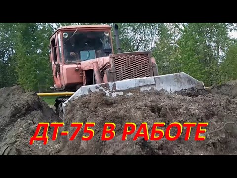Видео: #трактор 🚜 ДТ-75 бульдозер в работе
