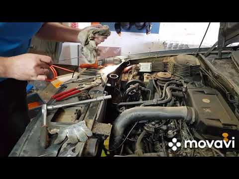 Видео: Вот как бывает) чуть было небыло))