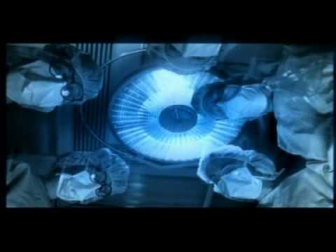 Видео: Год Змеи - Код доступа