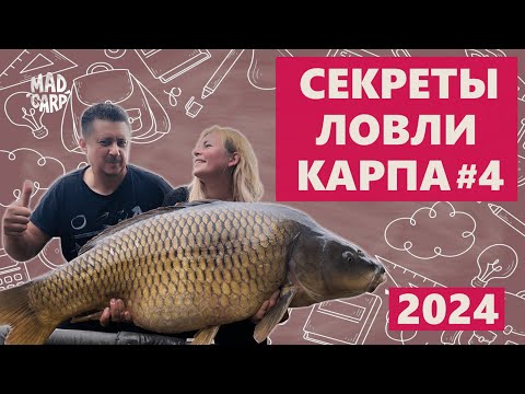 Видео: Секреты ловли карпа 2024. Семинар С. и О. Воеводиных в г. Шымкенте. Часть 4.