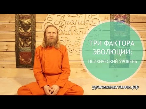 Видео: Три фактора эволюции: психический уровень