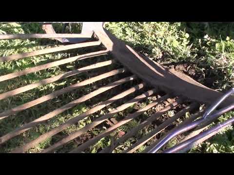 Видео: Вібролапа. Копачка картоплі, цибулі і часнику до важкого мотоблока.